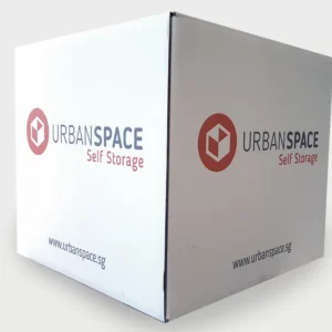 Carton Box - Large