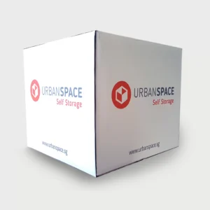 Carton Box - Medium